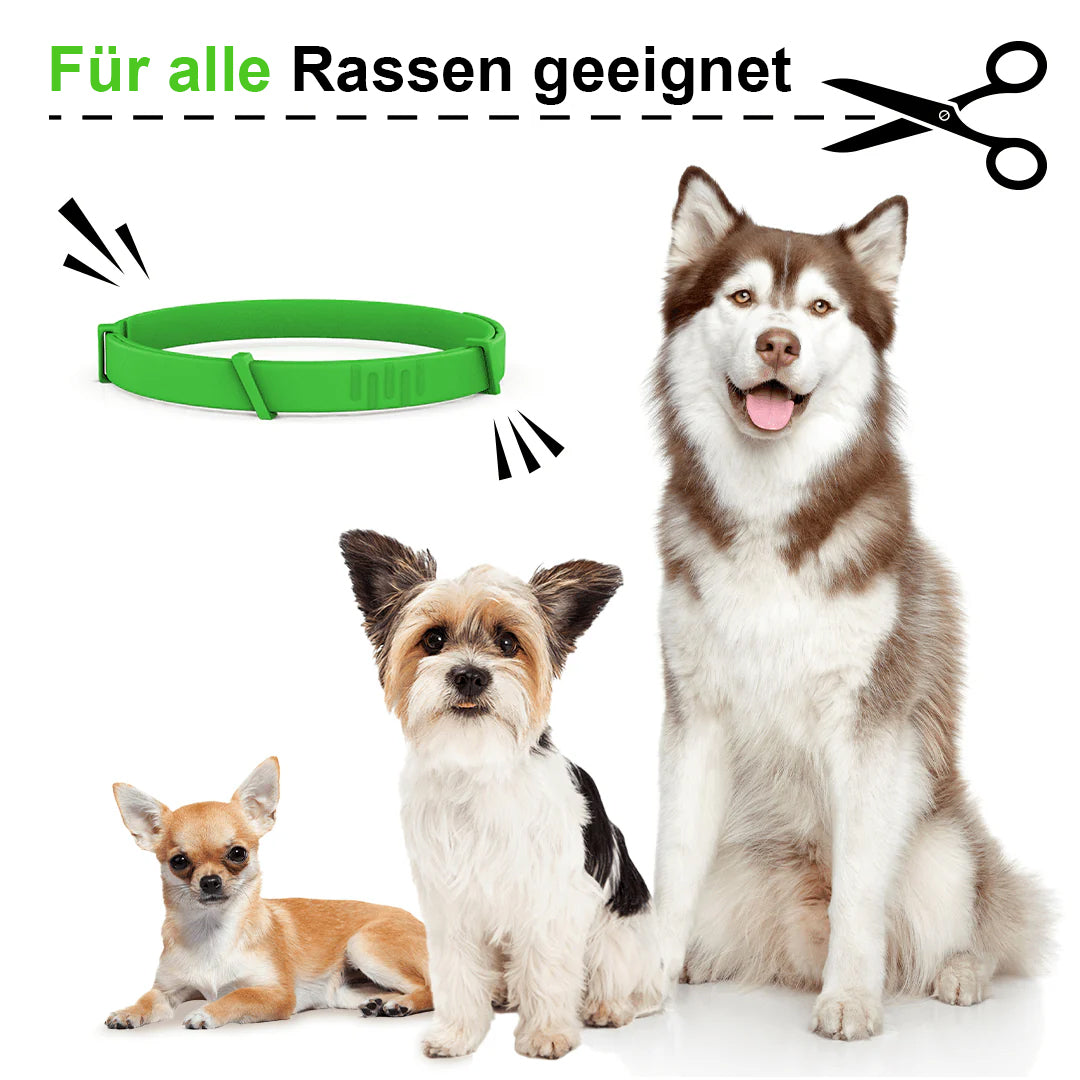 FurLife™ 8 Months Flea and Tick Free