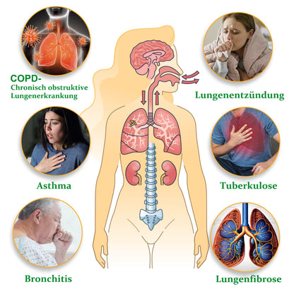 🔥 Letzte 3 Stunden: 60 % Rabatt auf den Mullein Relaxation Stick – Beruhigt die Lungen, entgiftet, erfrischt den Atem.