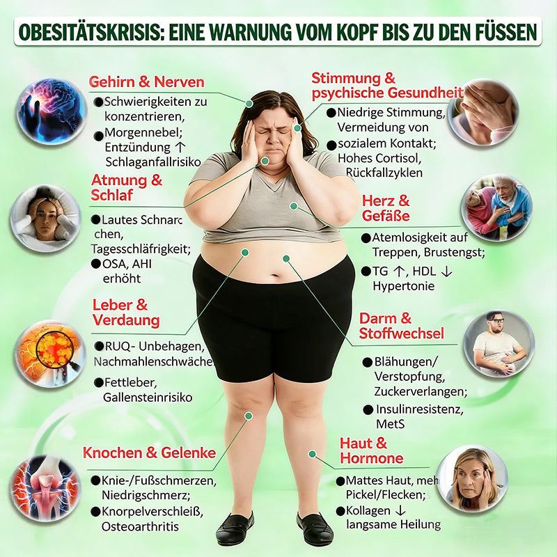 Offizieller US-Shop | 🧑‍⚕️🩺Seurico Moringa · Berberine × NAD+ 10-in-1 Advanced Nano Microneedle Patch — Einmal täglich, sichtbare Ergebnisse in 7 Tagen