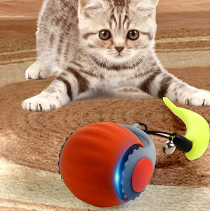 🐈Schneller Ball - Interaktives Katzenspielzeug
