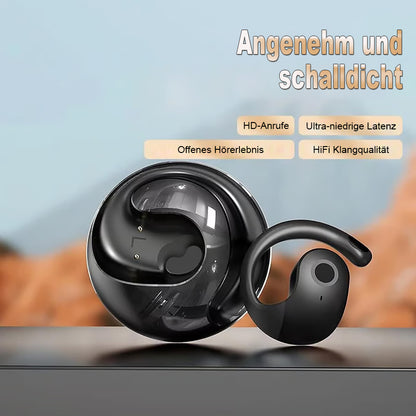 Letzter Tag der Aktion: 49 % RABATT🔥T26 Pro Drahtlose Bluetooth-Übersetzungs-Ohrhörer